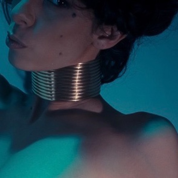 Meet your Posher, Posh - Picture 1 of 1